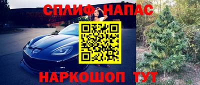 молекула духа Краснодар
