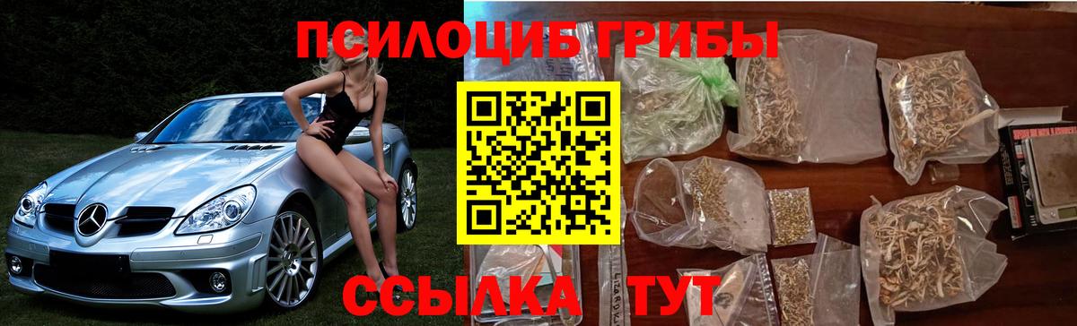 Галлюциногенные грибы GOLDEN TEACHER Чехов