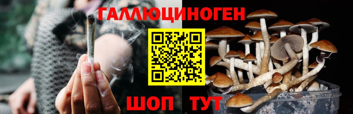 Псилоцибиновые грибы Psilocybine cubensis  Галлюциногенные грибы мухоморы  Чехов  Вход с VPN 